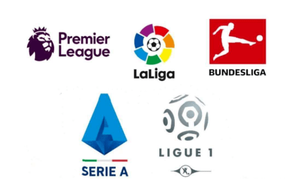 球员的紧密 球员的紧密